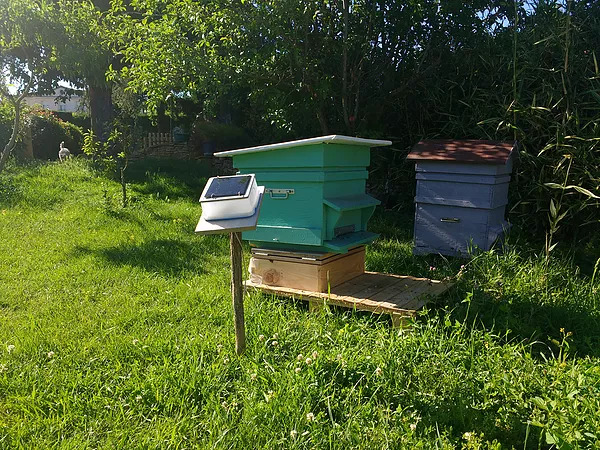 Be-Keeper ou la ruche 2.0