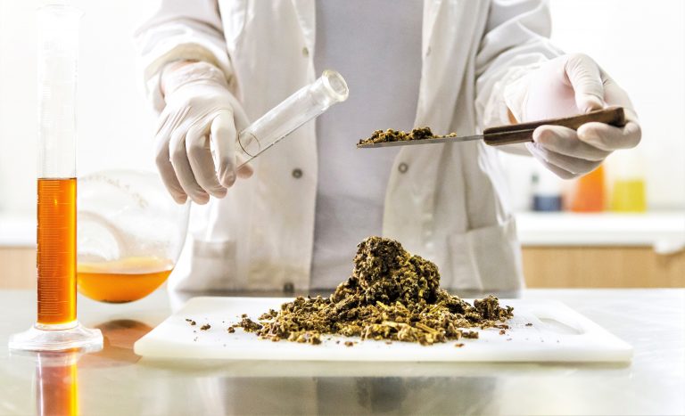 Les bienfaits de la propolis d’abeille et ses vertus sur le corps