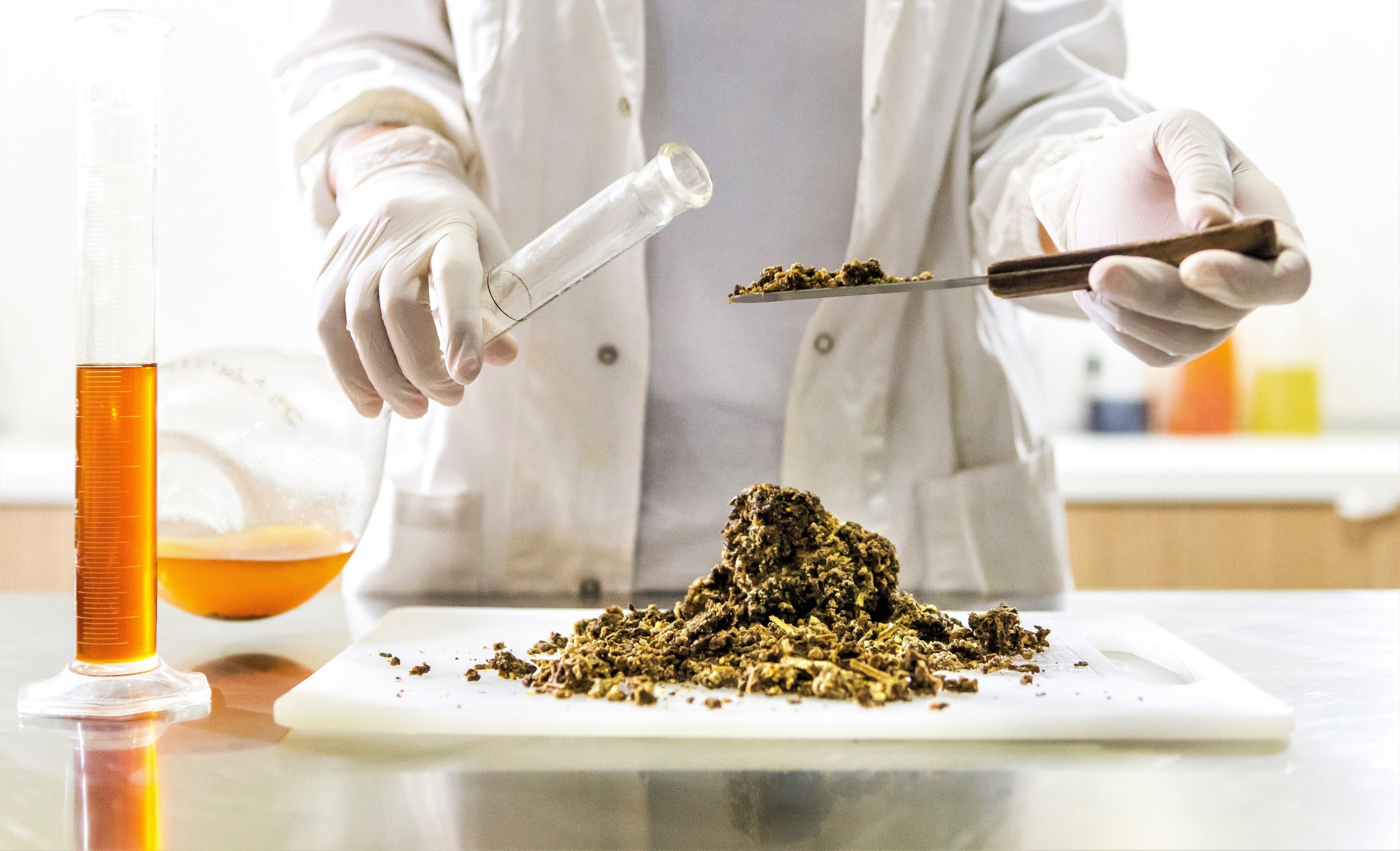 Bienfaits propolis