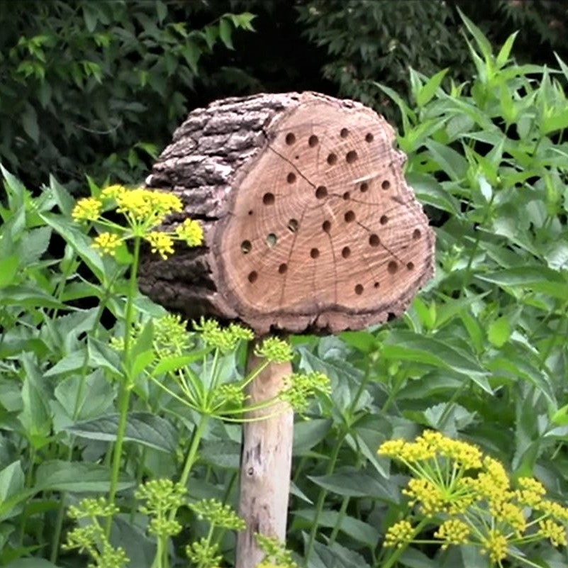 nid a abeille